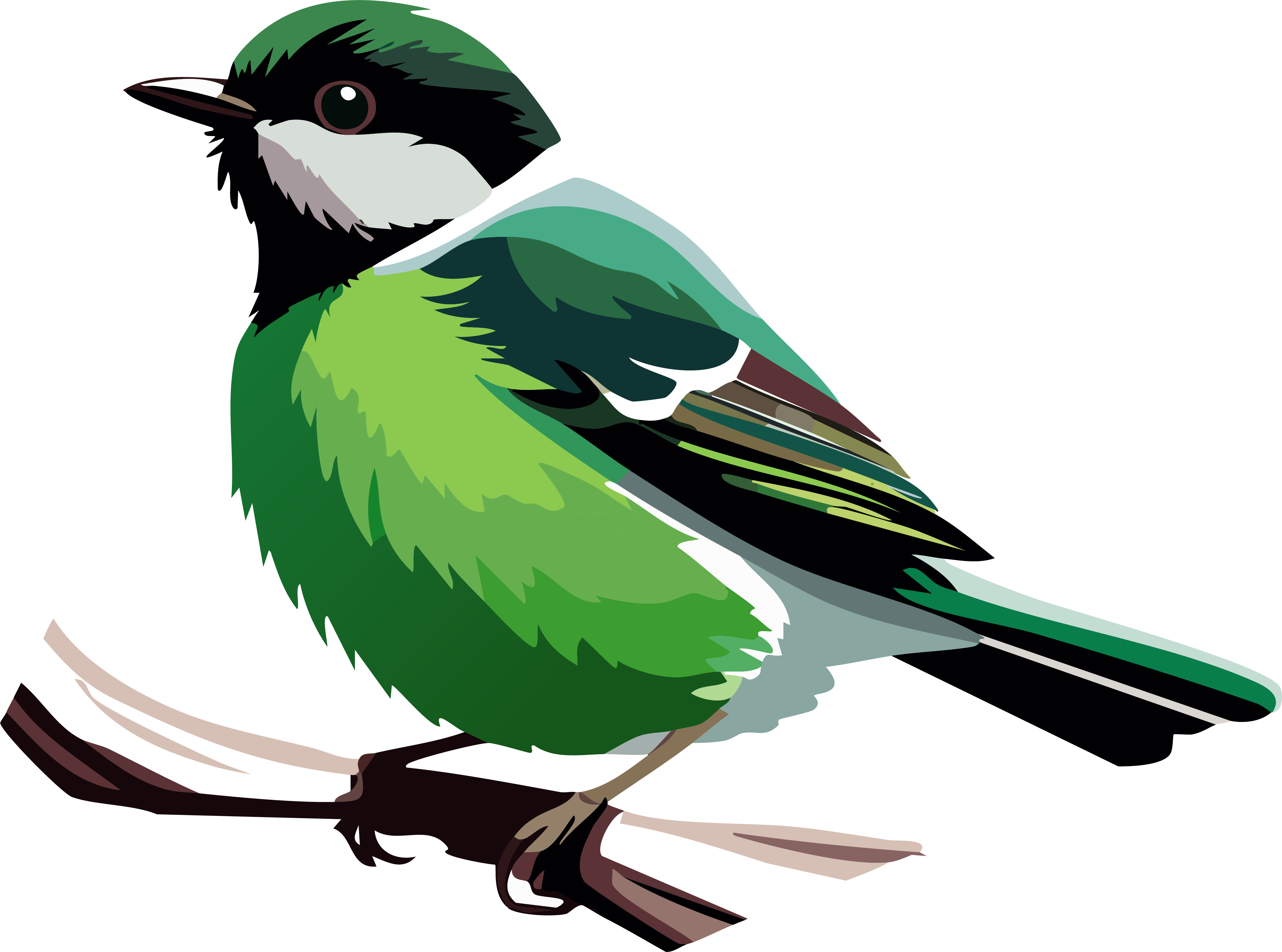 Illustration of a colourful bird