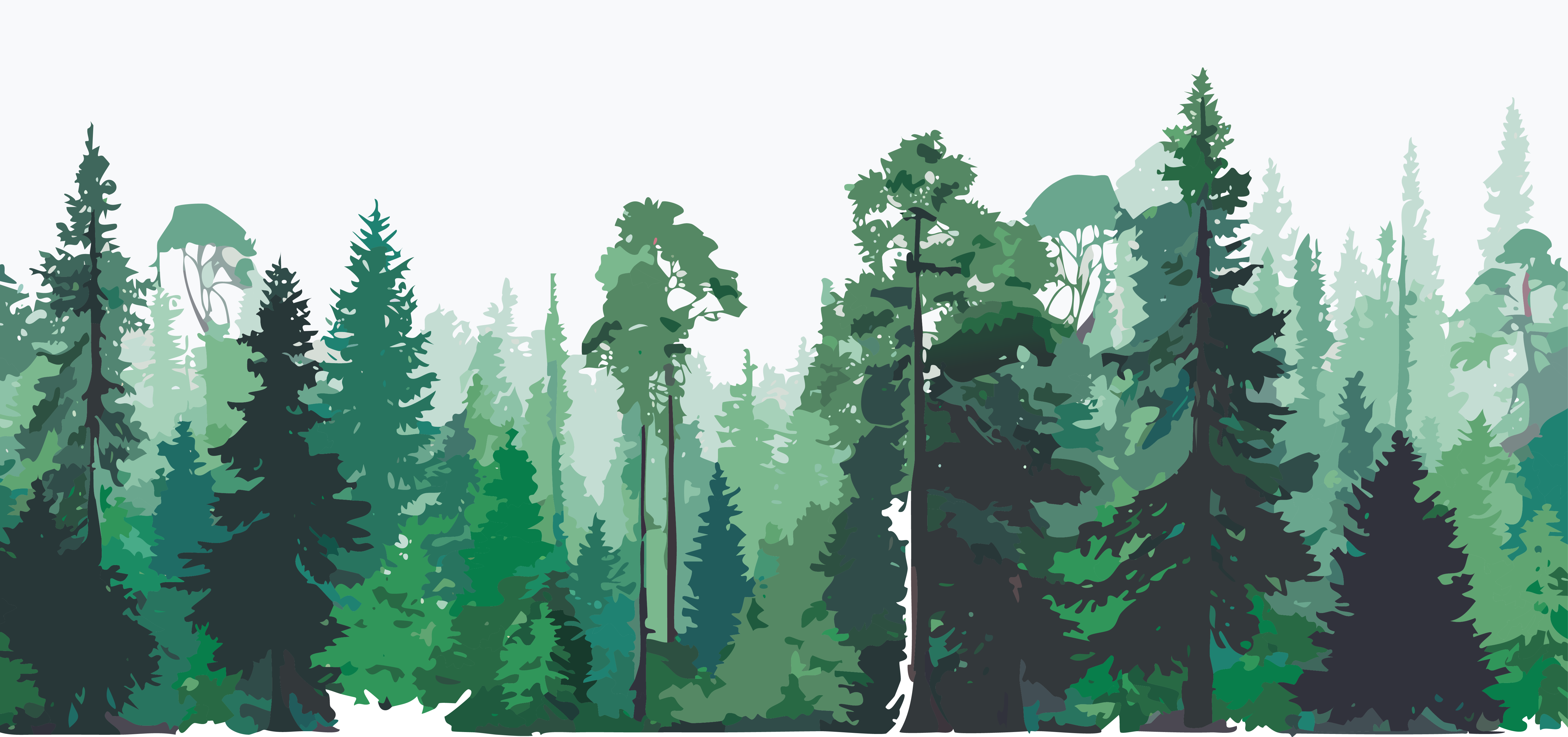 Sunlit forest habitat